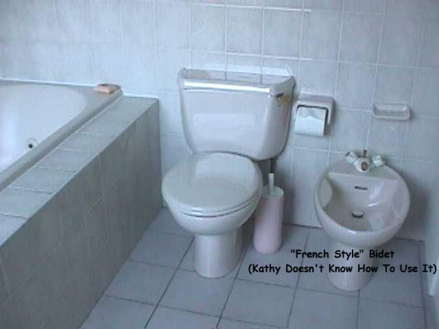 bathroom.jpg (22927 bytes)